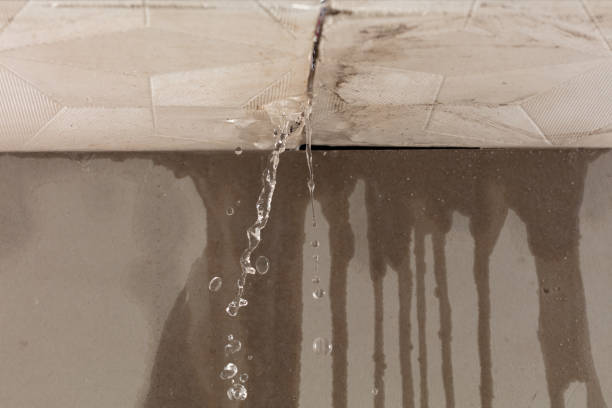 Professional Burst Pipe Cleanup technician working in Elkhorn, WI
